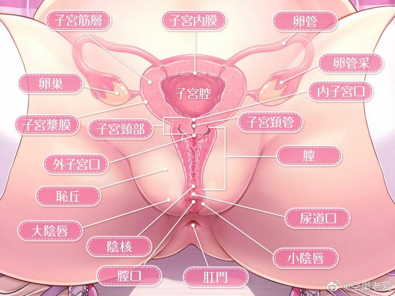【秘密花园】千金易得 嫩穴难求 第三十一期