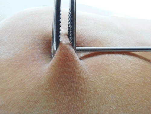 暴力深喉与打逼 看着母狗痛苦的表情 谁说不是一种享受呢