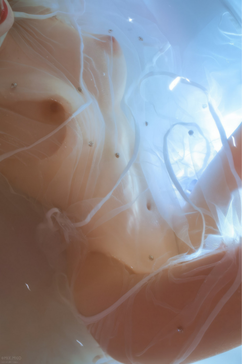 多张唯美的奶子图，供大家养养眼