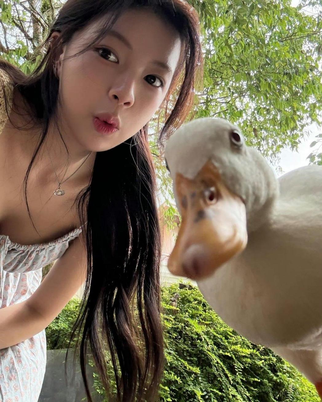 过年了，女明星给你拜年了