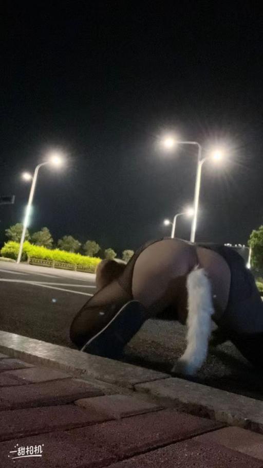 露出的刺激[41P]