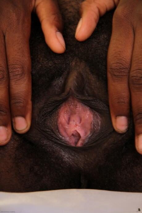 黑色鲍鱼鉴赏[40P]