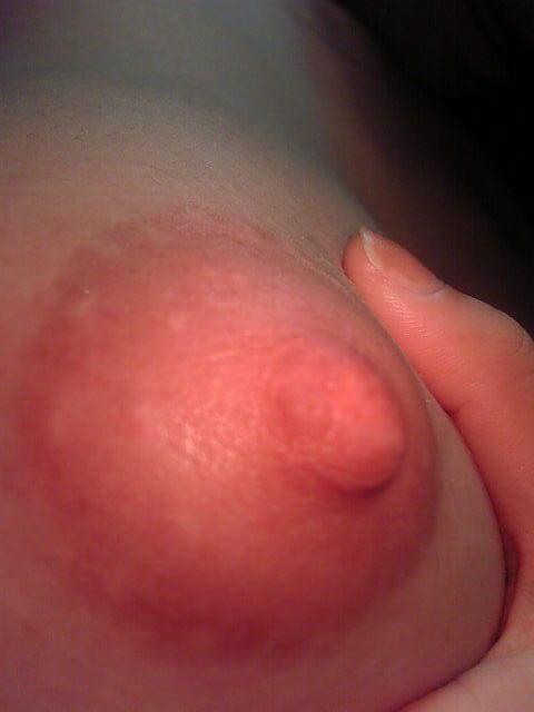 鲜嫩的美乳[31P]