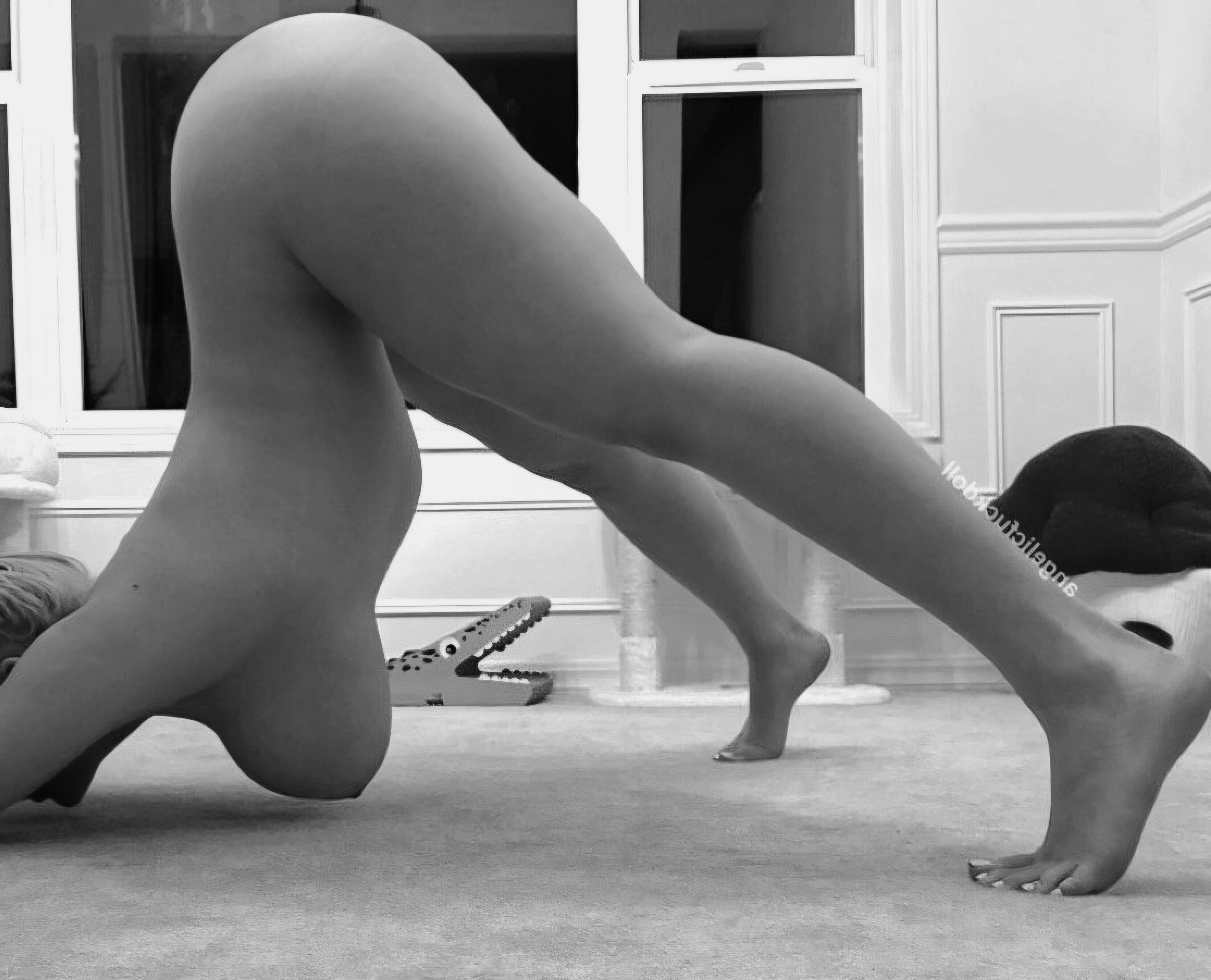 黑白色调的大屁股[69P]