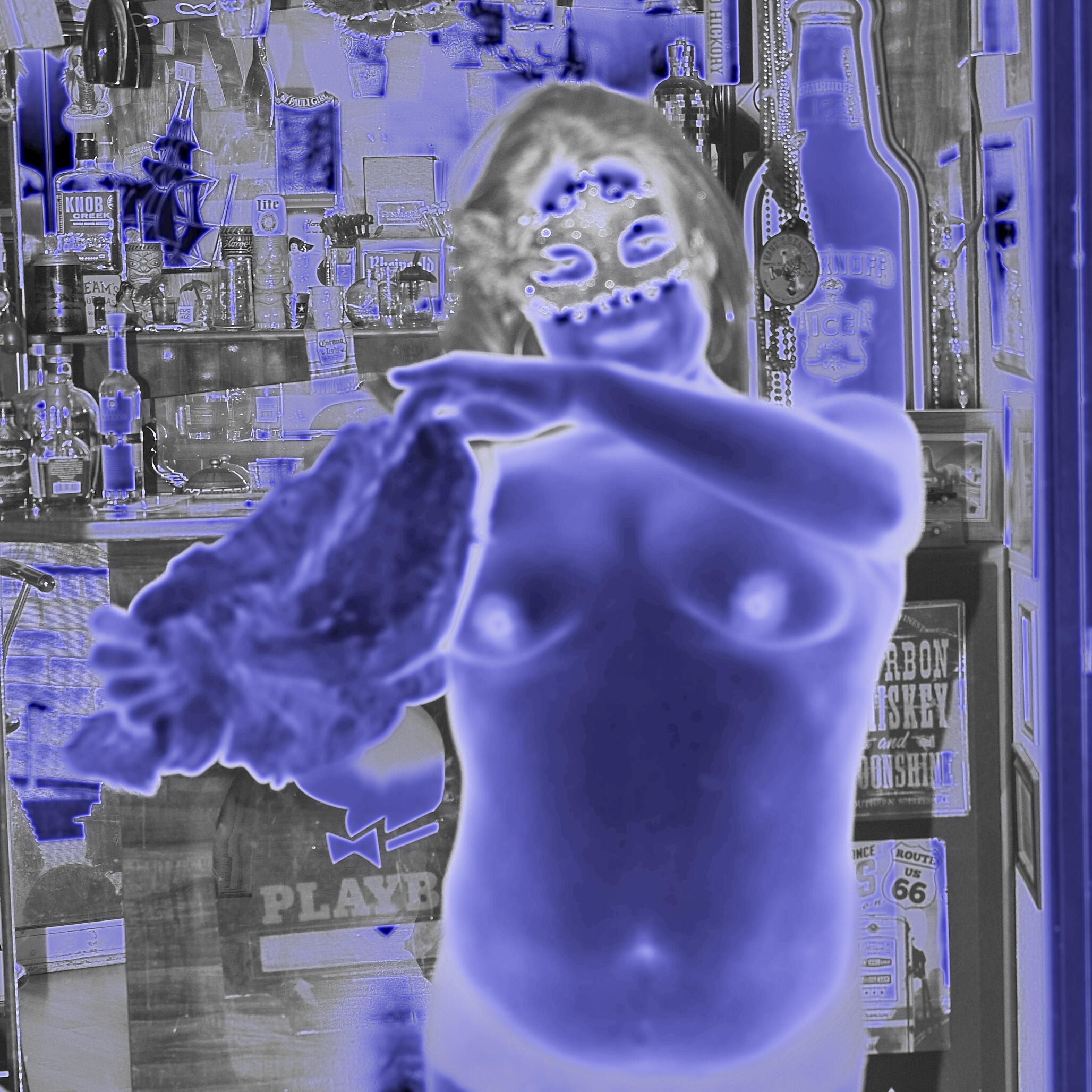 美国欧洲大洋马[61P]