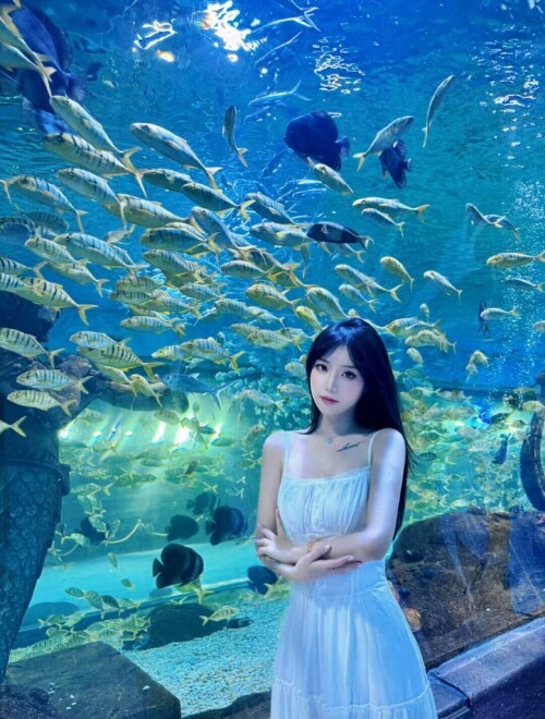 大官人精选之爱妻