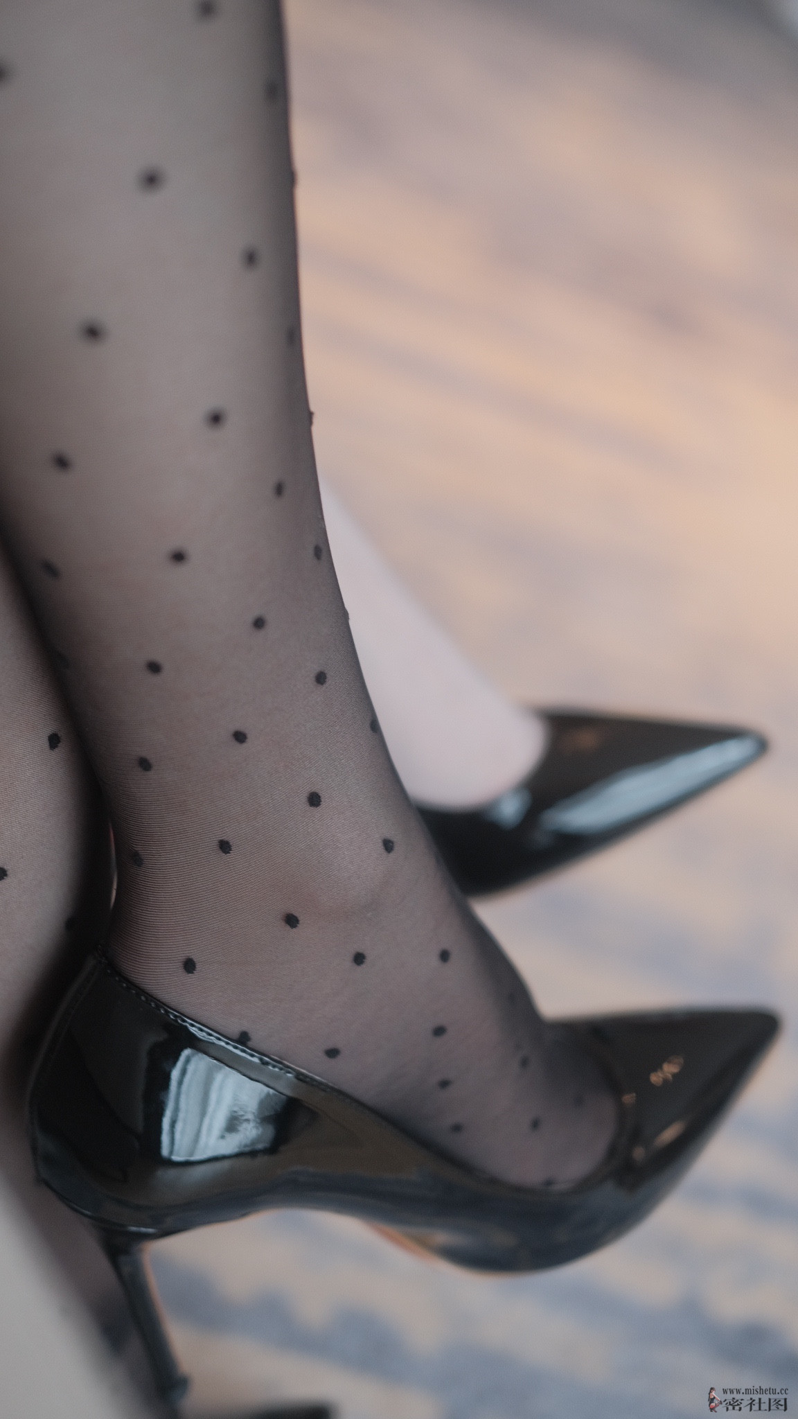 梦里一只喵双人高清OL写真