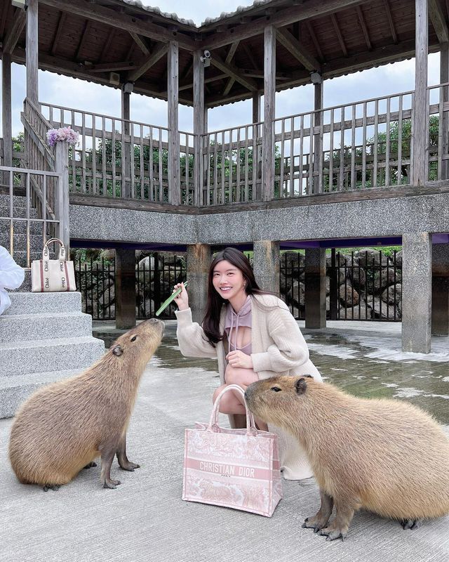 颜值爆表的Ines姚采辰不愧是百万网红更加是最年轻的板娘!!!