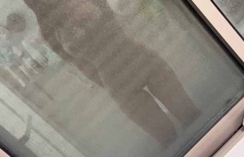 继续看太美太危险的胸