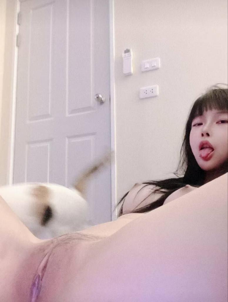 [小母狗]深夜福利 - 反差婊