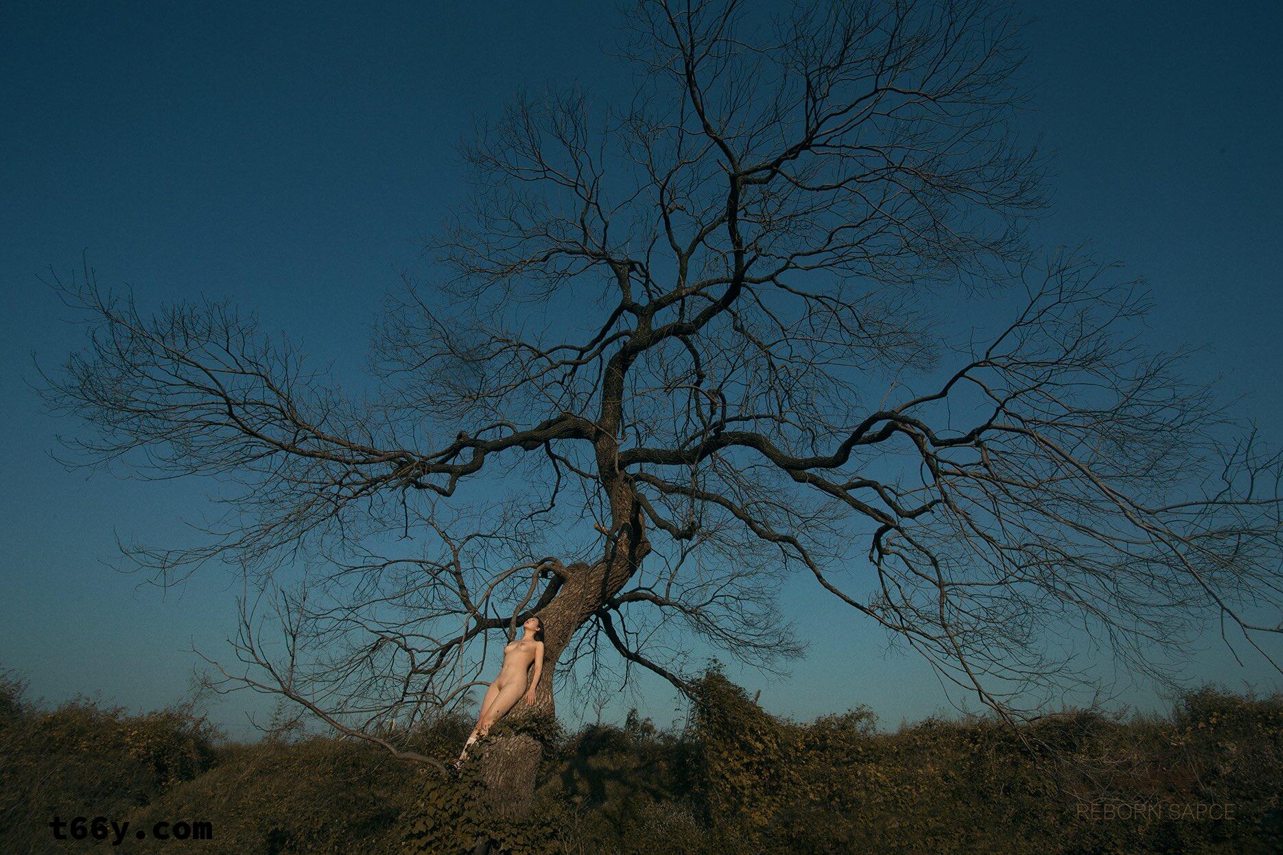 大奶妹妹们，不好了，匈奴人打过来了