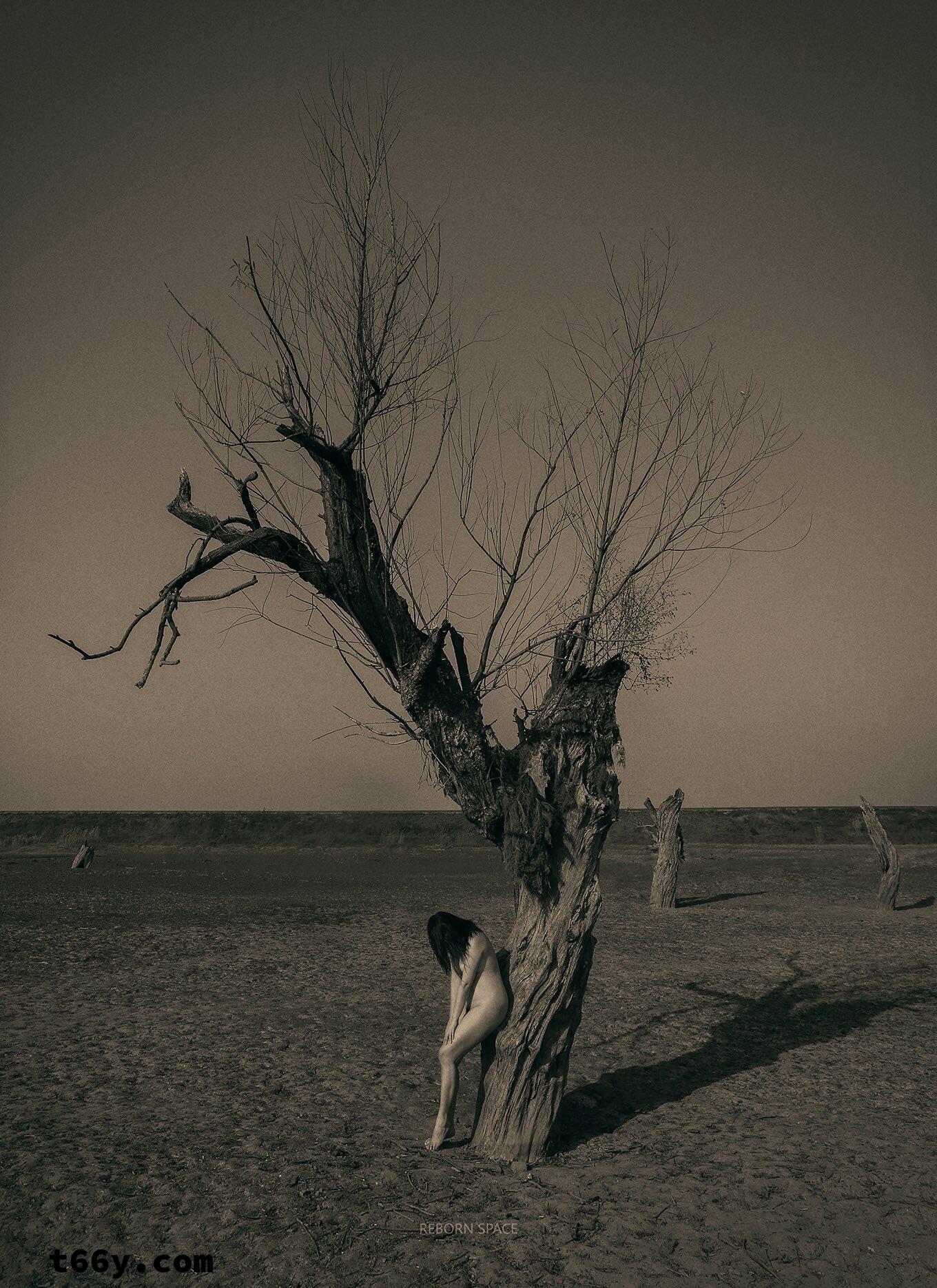 大奶妹妹们，不好了，匈奴人打过来了