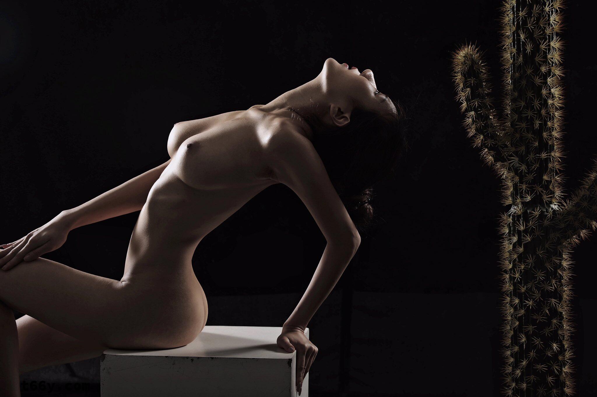 肉与欲的碰撞，人体的艺术