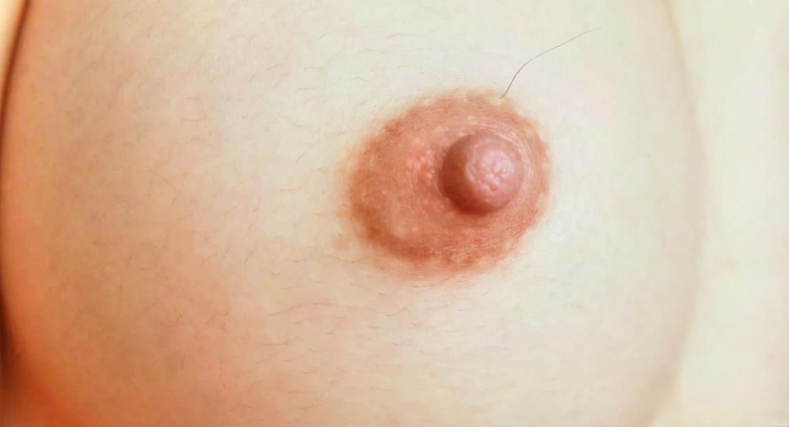 乳此迷人，乳此多娇