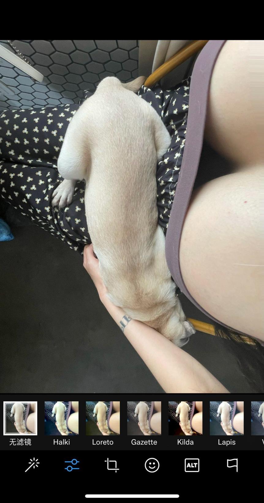 古灵精怪的妹子们 搜集的妹子图片