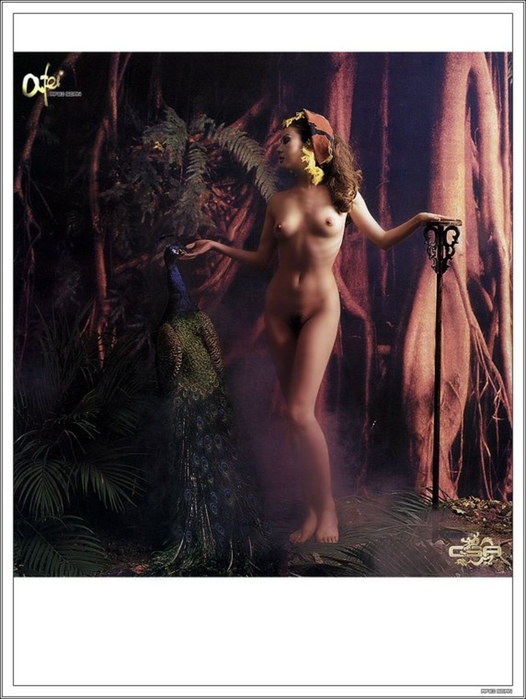 国模开山鼻祖汤加丽