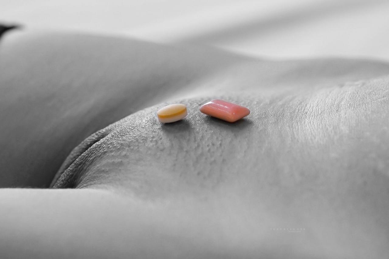 想看奶牛的进来