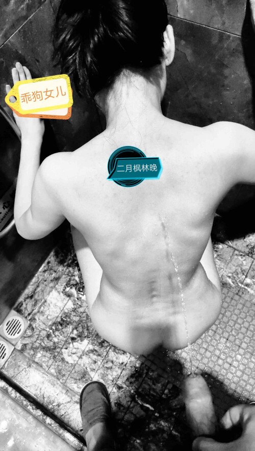 金风玉露一相逢，便胜却人间无数，记和乖狗女儿的一次短暂相会