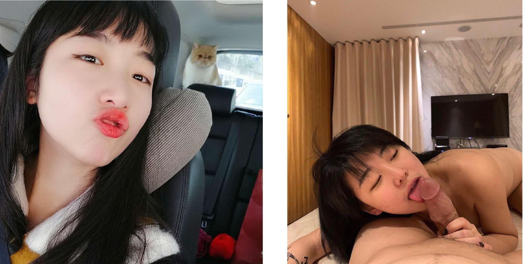 狗颠屁股 摇尾乞怜