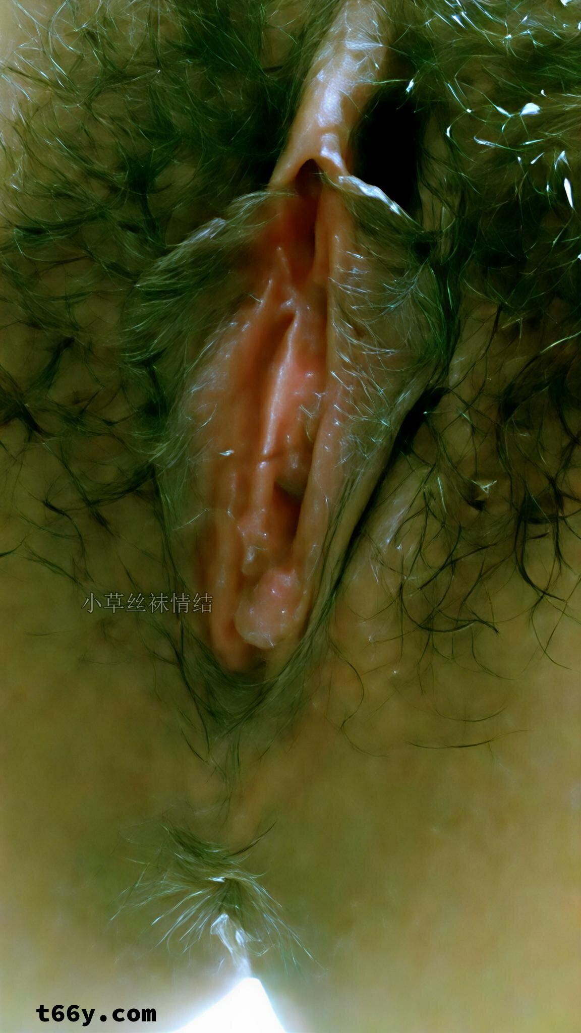 丝·欲：娇妻的禁忌三重奏