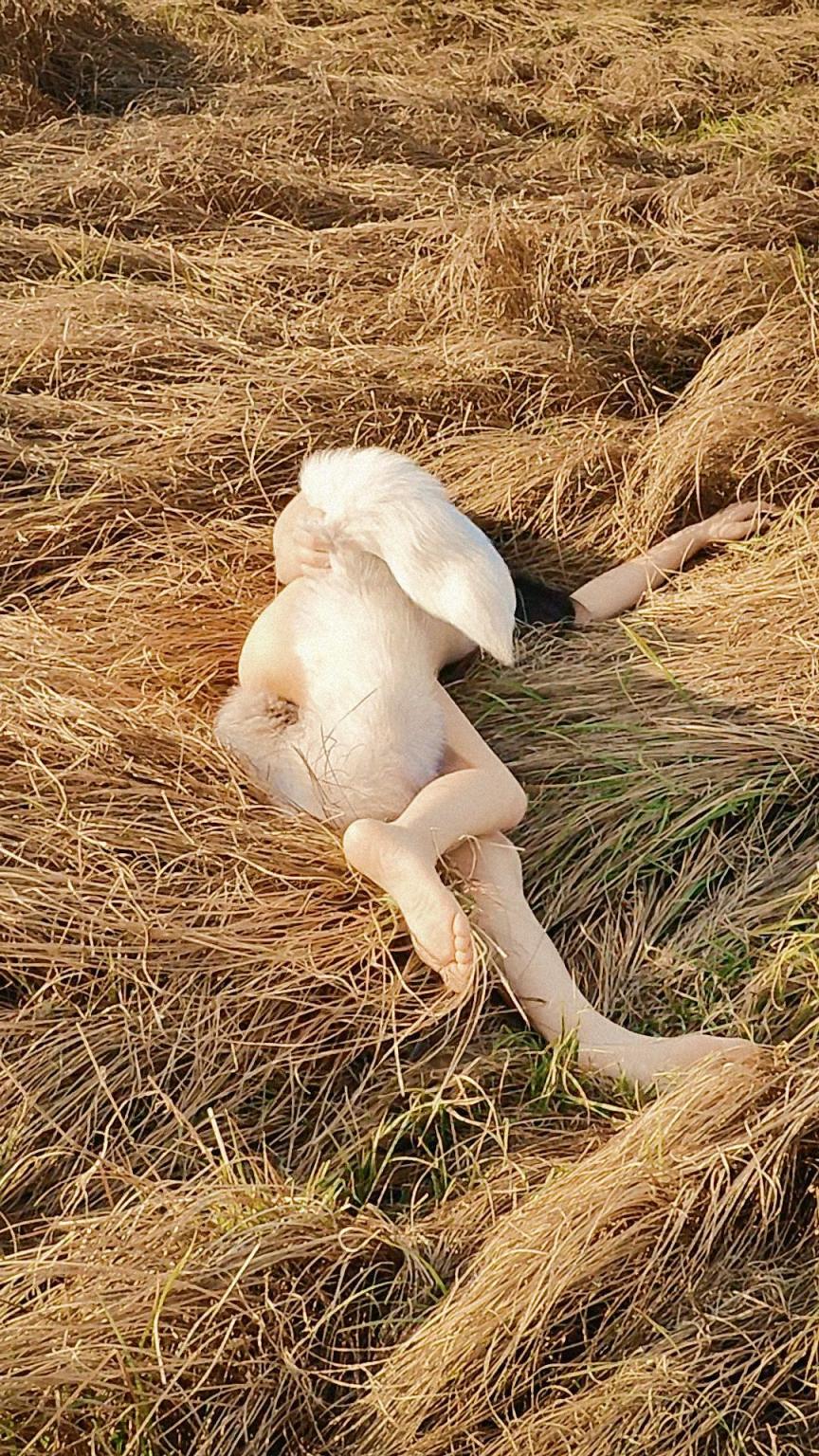 今天的主角是我的小女友兼我的新助理