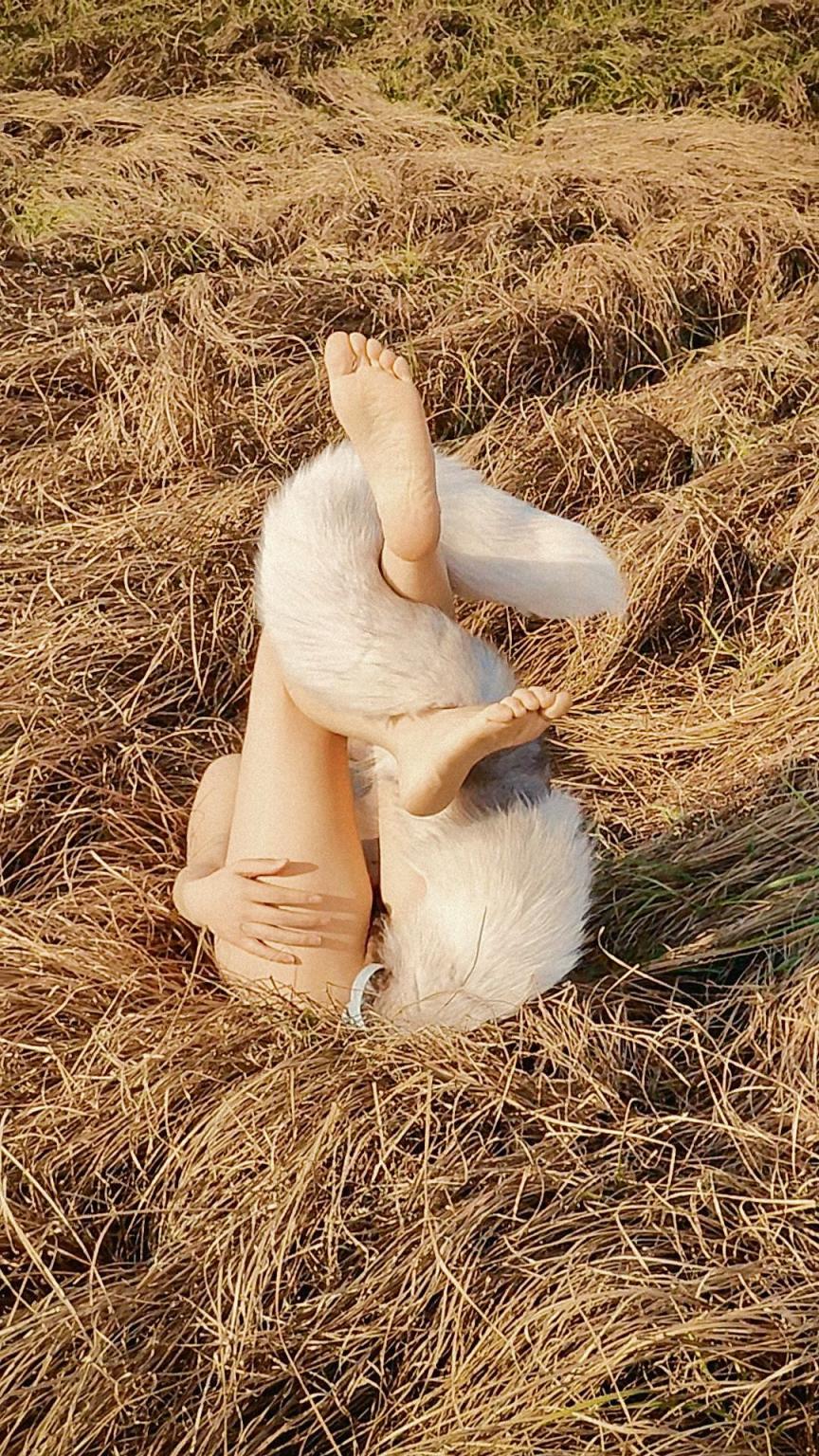 今天的主角是我的小女友兼我的新助理