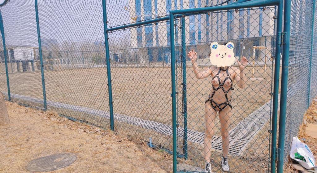 个人收藏的桔梓露出合集分享